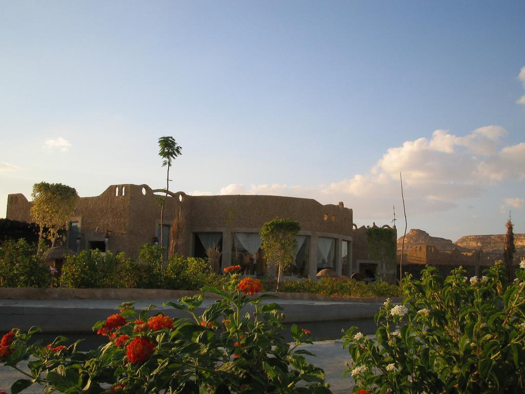 Siwa Shali Resort Siwa Oasis Esterno foto